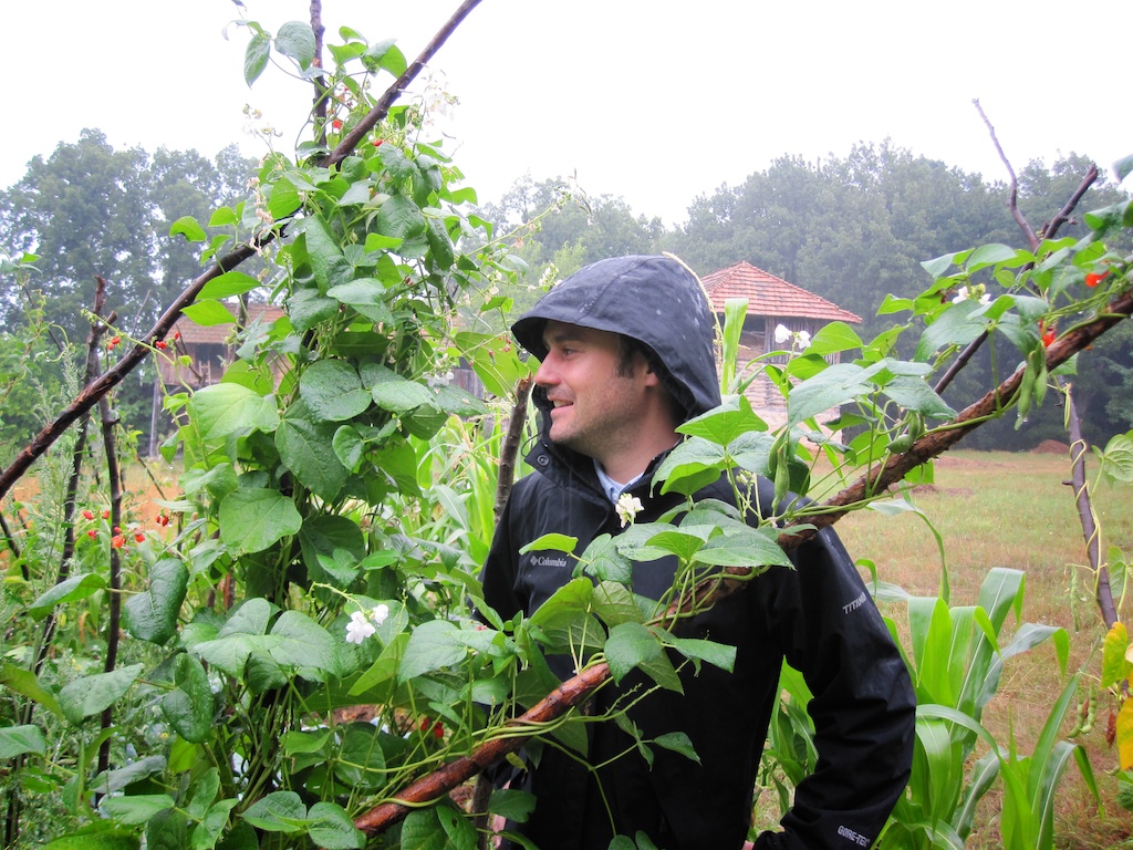 Harvest time