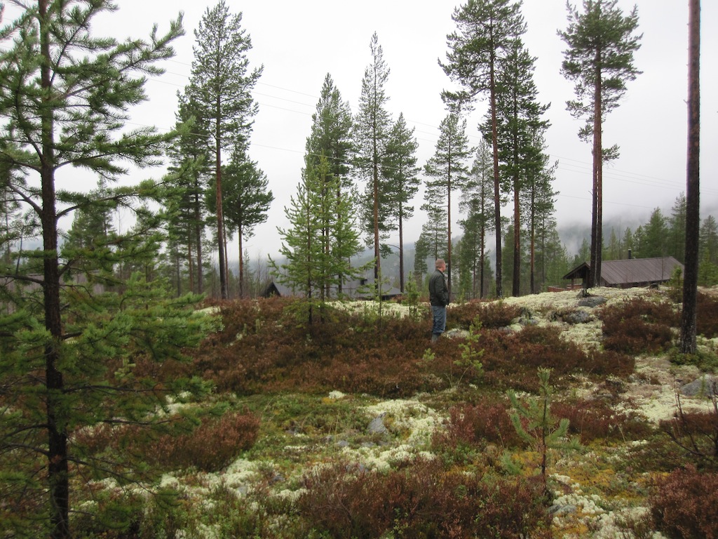 On Renåfjellet