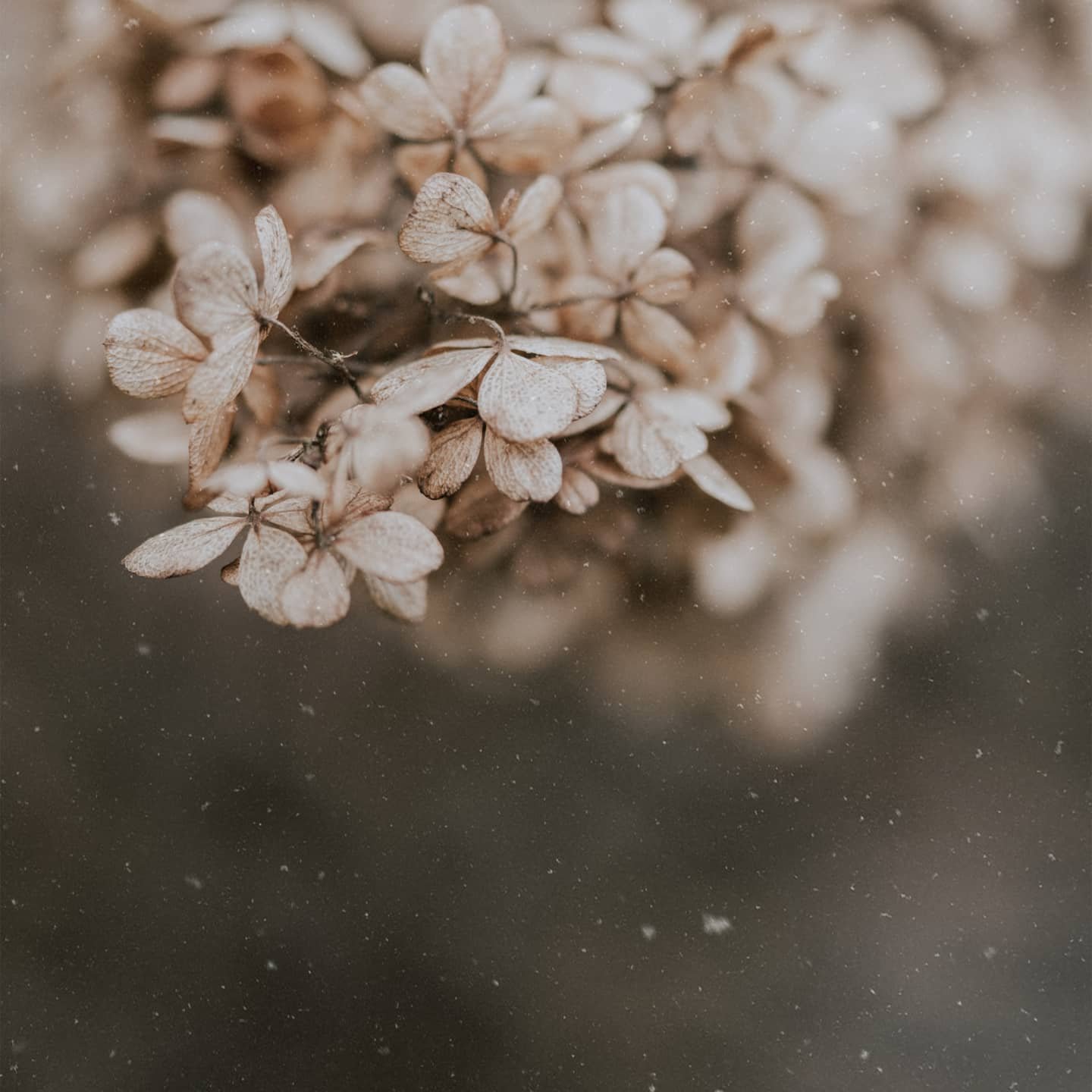 03/2020