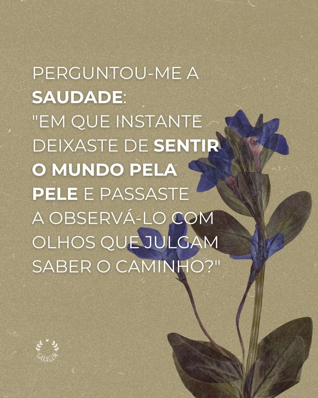Scroll down for 🇬🇧

As conversas entre amigos deixam sementes em n&oacute;s. H&aacute; as que servem de alimento ao solo, e as que germinam. Falar sobre a urg&ecirc;ncia das primeiras vezes deu flor a horas indecentes da madrugada. Dente de Le&atil