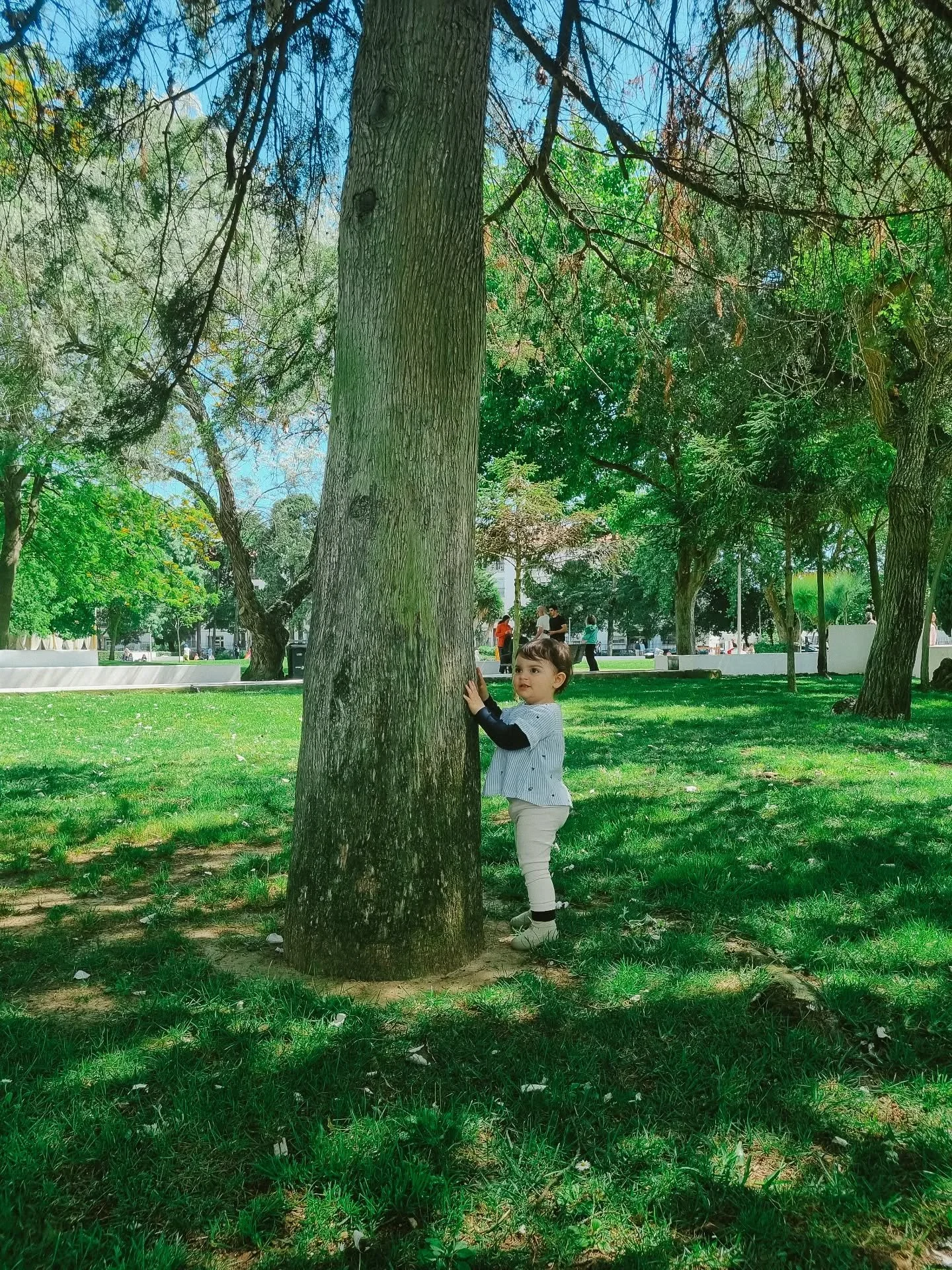 N&atilde;o precisamos de lhes ensinar a amar a Natureza.
Precisamos apenas de as ajudar a n&atilde;o esquecer.

Com presen&ccedil;a, com p&eacute;s descal&ccedil;os na terra, m&atilde;os no tronco, canto e dan&ccedil;a, oferendas tecidas.
Ser exemplo
