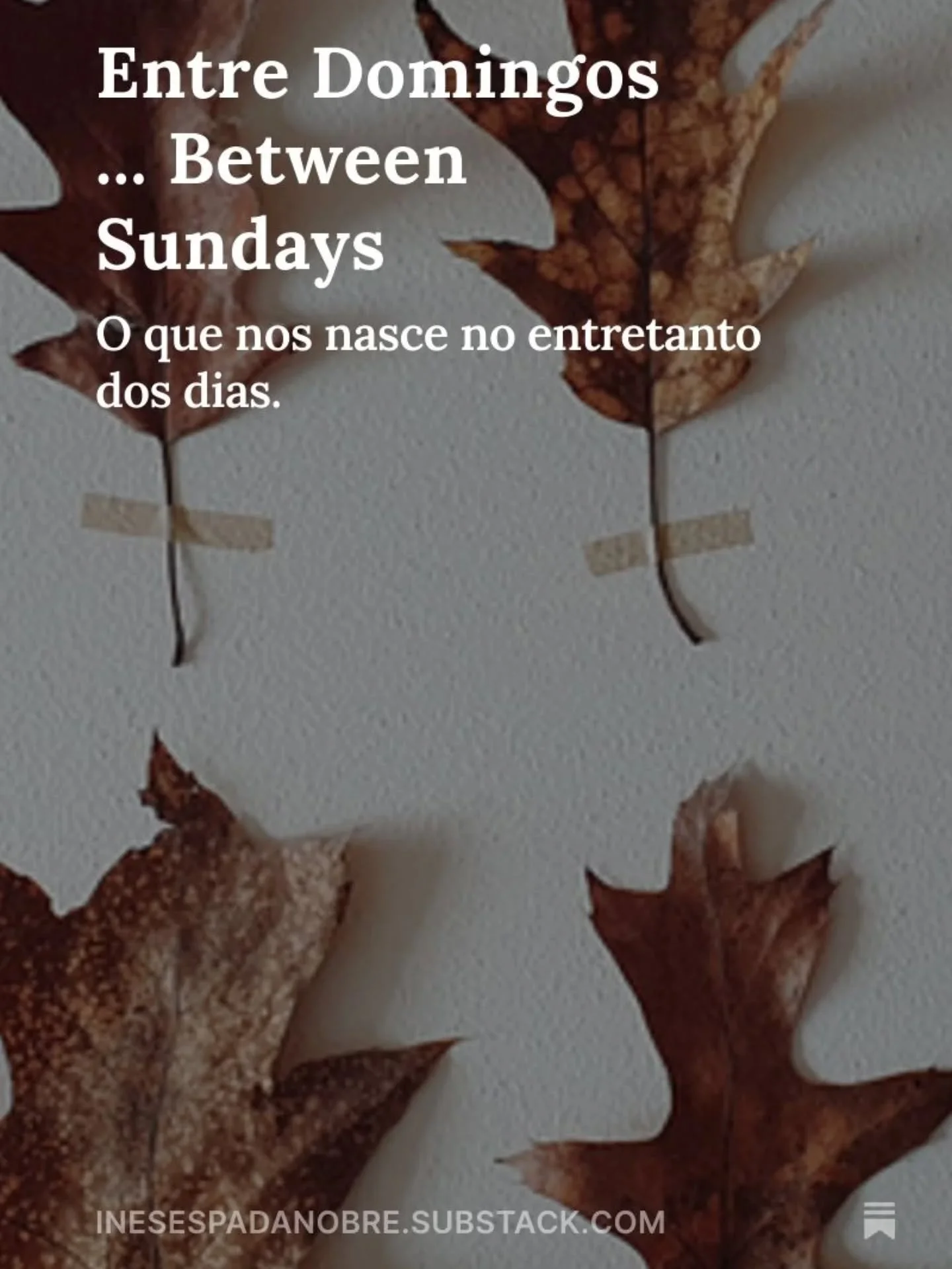 🌿

H&aacute; muito tempo que sentia vontade de escrever com mais presen&ccedil;a.
Sem correr, sem algoritmos, sem tentar agradar. S&oacute; assim: devagar, com inten&ccedil;&atilde;o.
Como uma carta, das que fazem ninho no peito.

Nasceu o &quot;ent