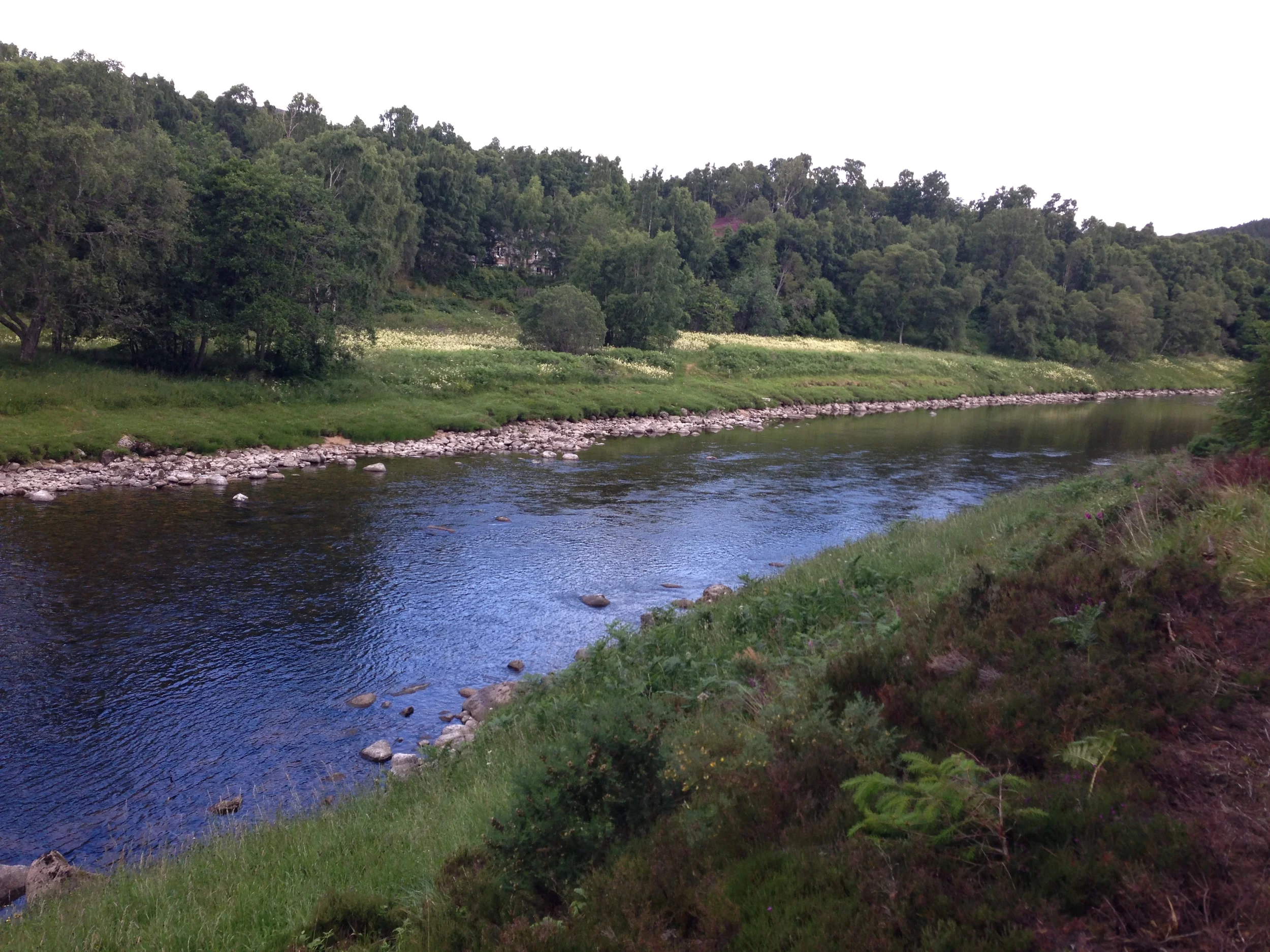 Mill Pool