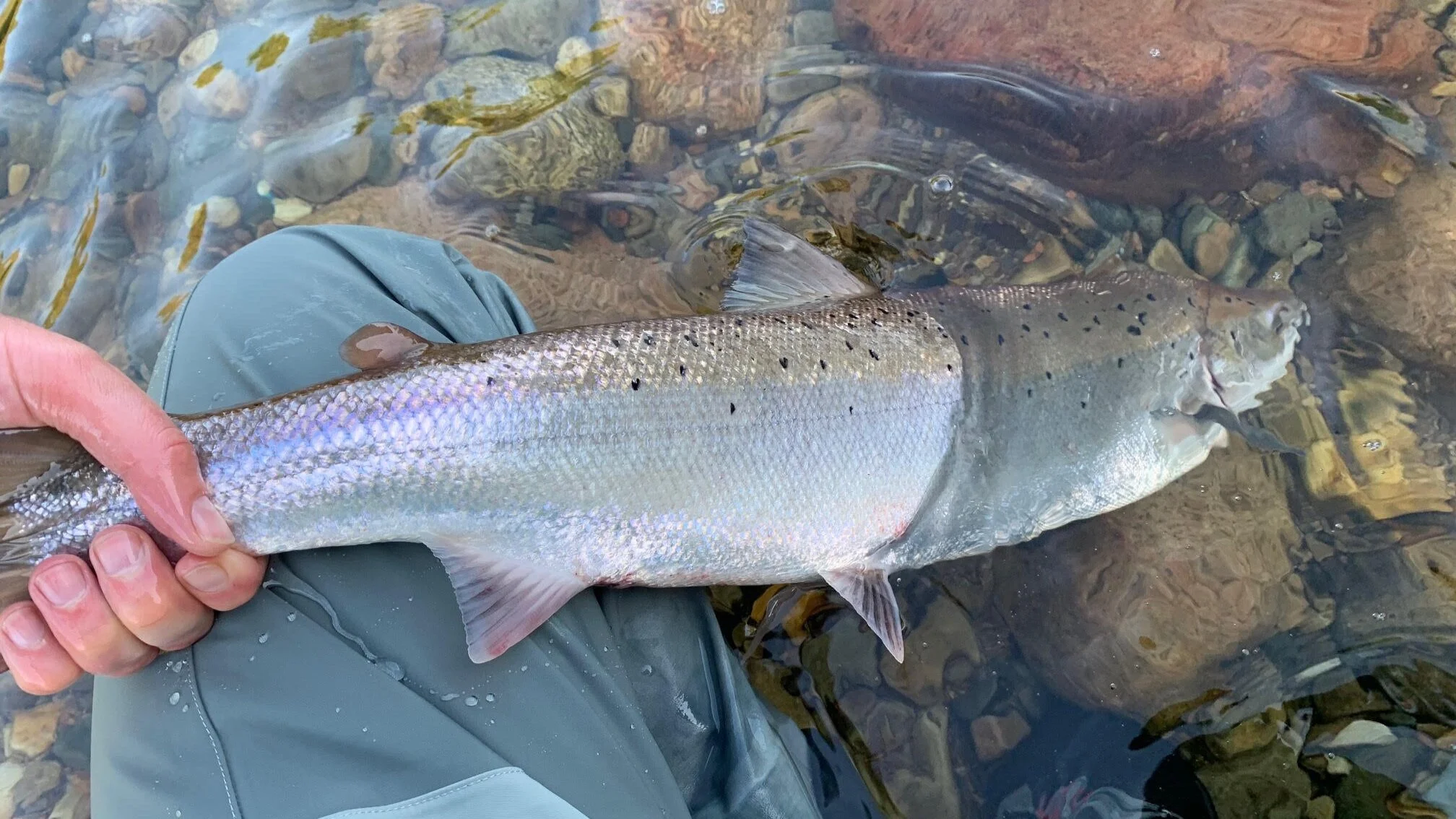 Fishing+photo+2.jpg