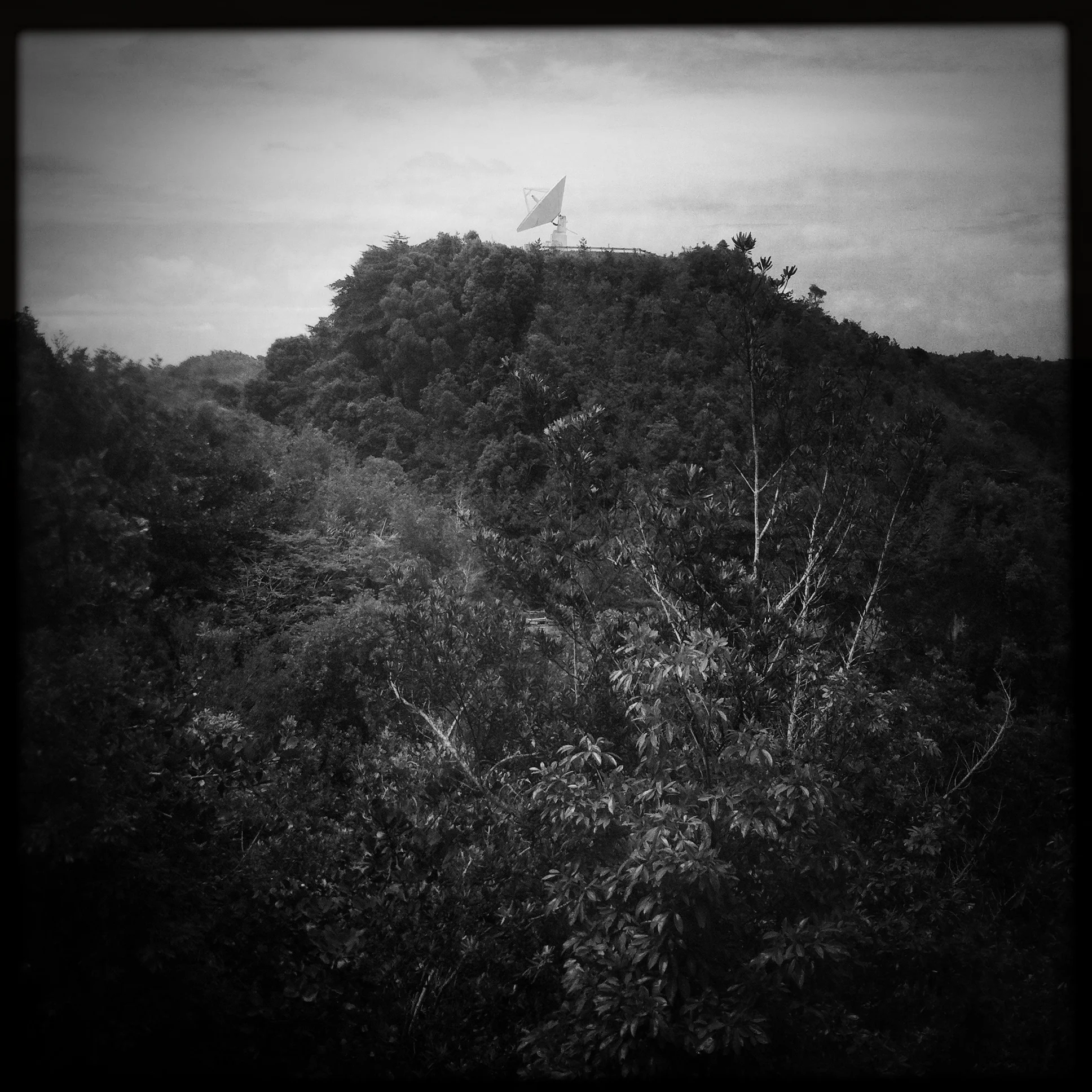  © Matt Hill A little bonus shot of another radio telescope from Arecibo. 