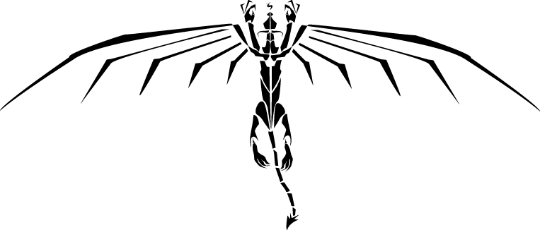 dragon-top-view.gif