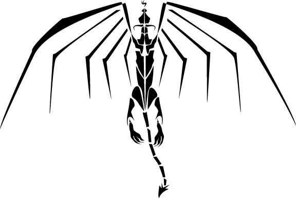 dragon-top-view-2.gif