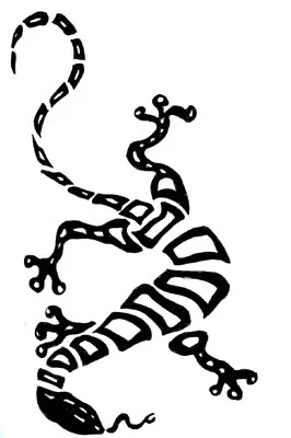 lizard.jpg