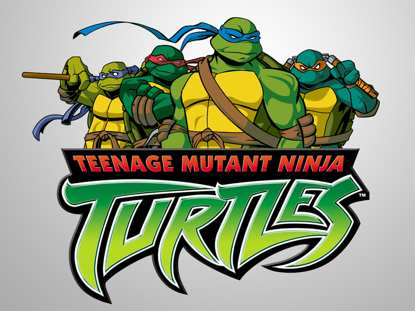 Teenage Mutant Ninja Turtles.jpg