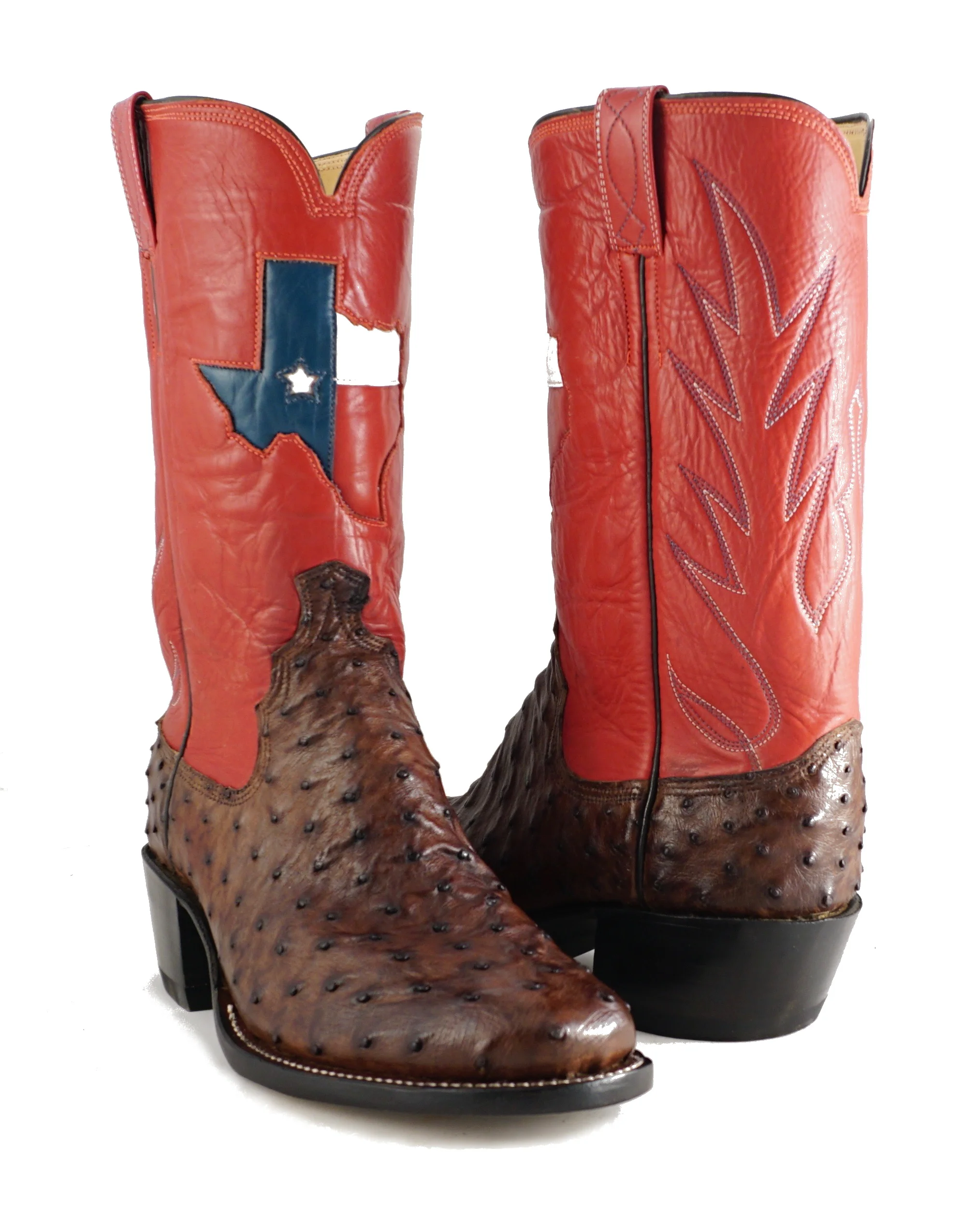 ostrich with texas flag inlay