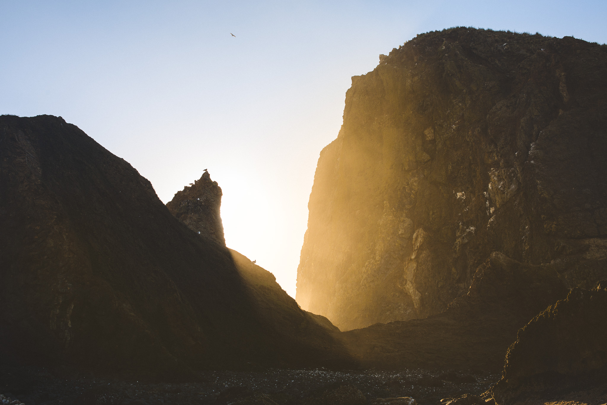 008-Jonathan-Kuhn-Photography-Cannon-Beach-2.jpg