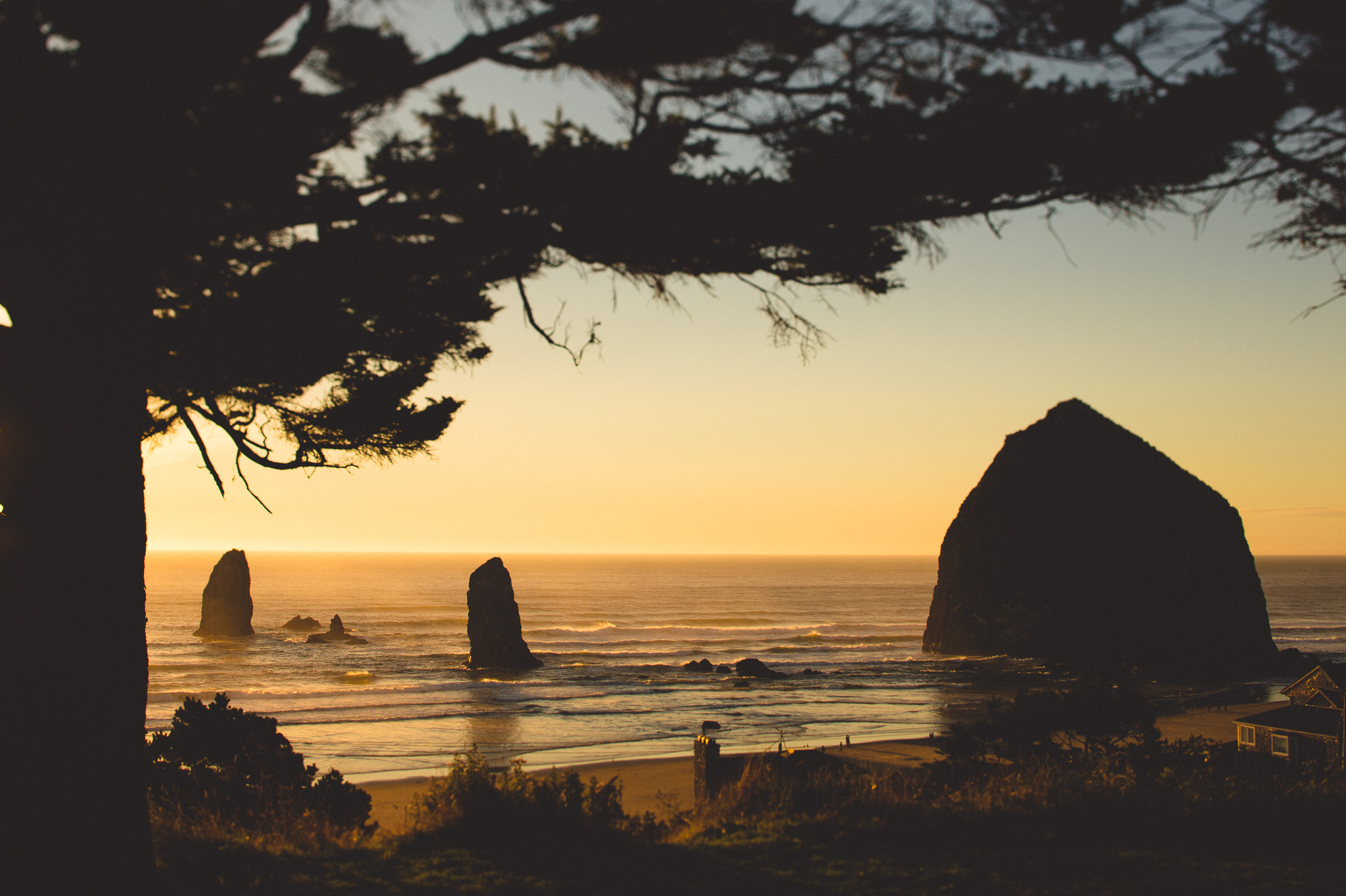 022-Jonathan-Kuhn-Photography-Cannon-Beach-1764.jpg