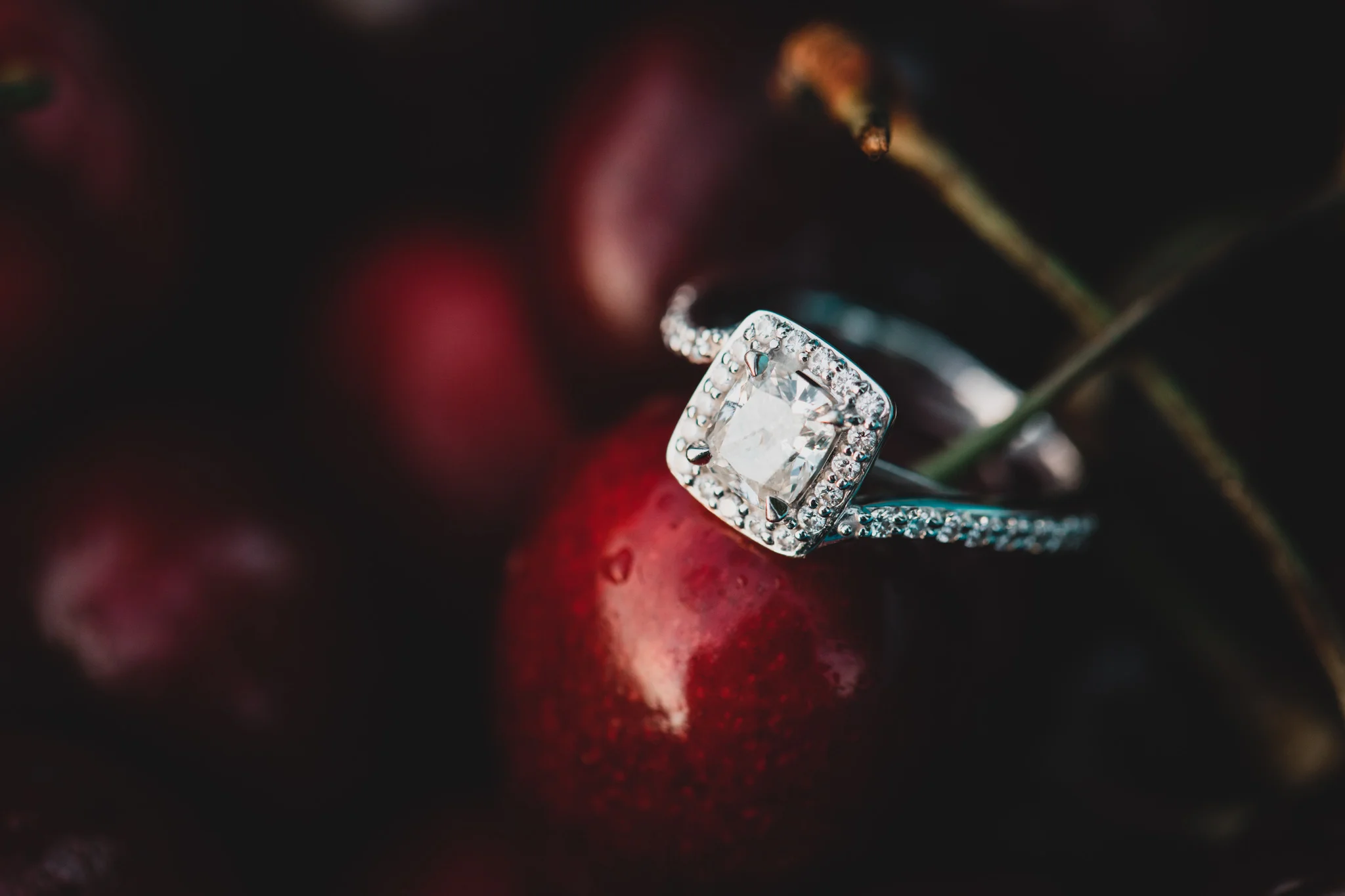 074-WEB-Jonathan-Kuhn-Photography-SarahTyler-Engagement-1758.jpg