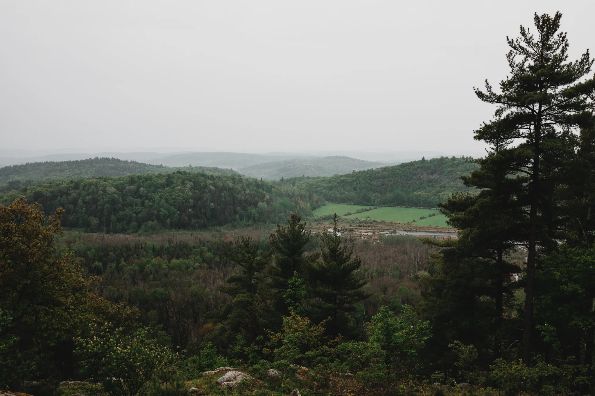 376-WEB-Jonathan-Kuhn-Photography-Rebecca-Emil-Wedding-9494.jpg