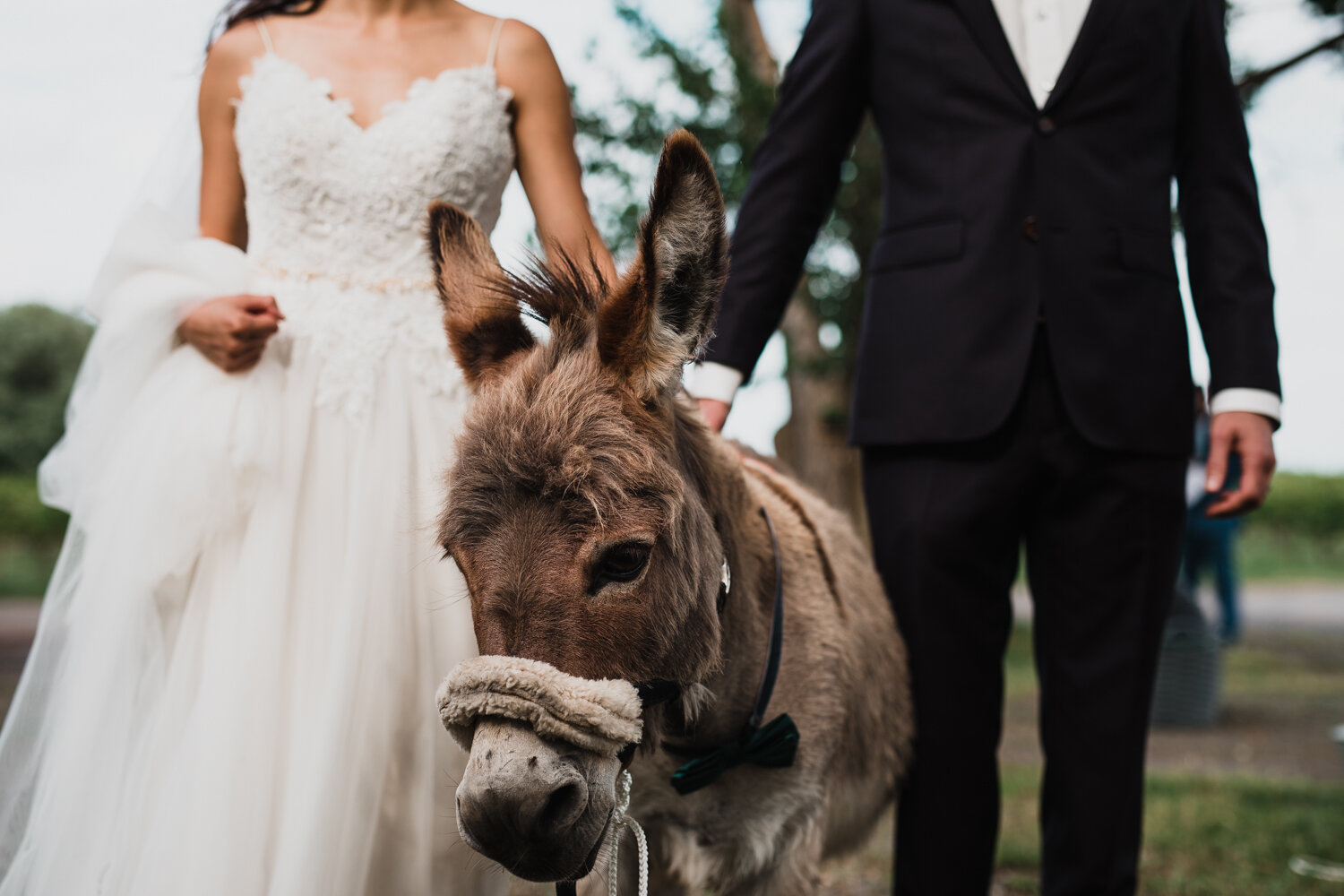 Bride and Groom with Donkey 033.jpg