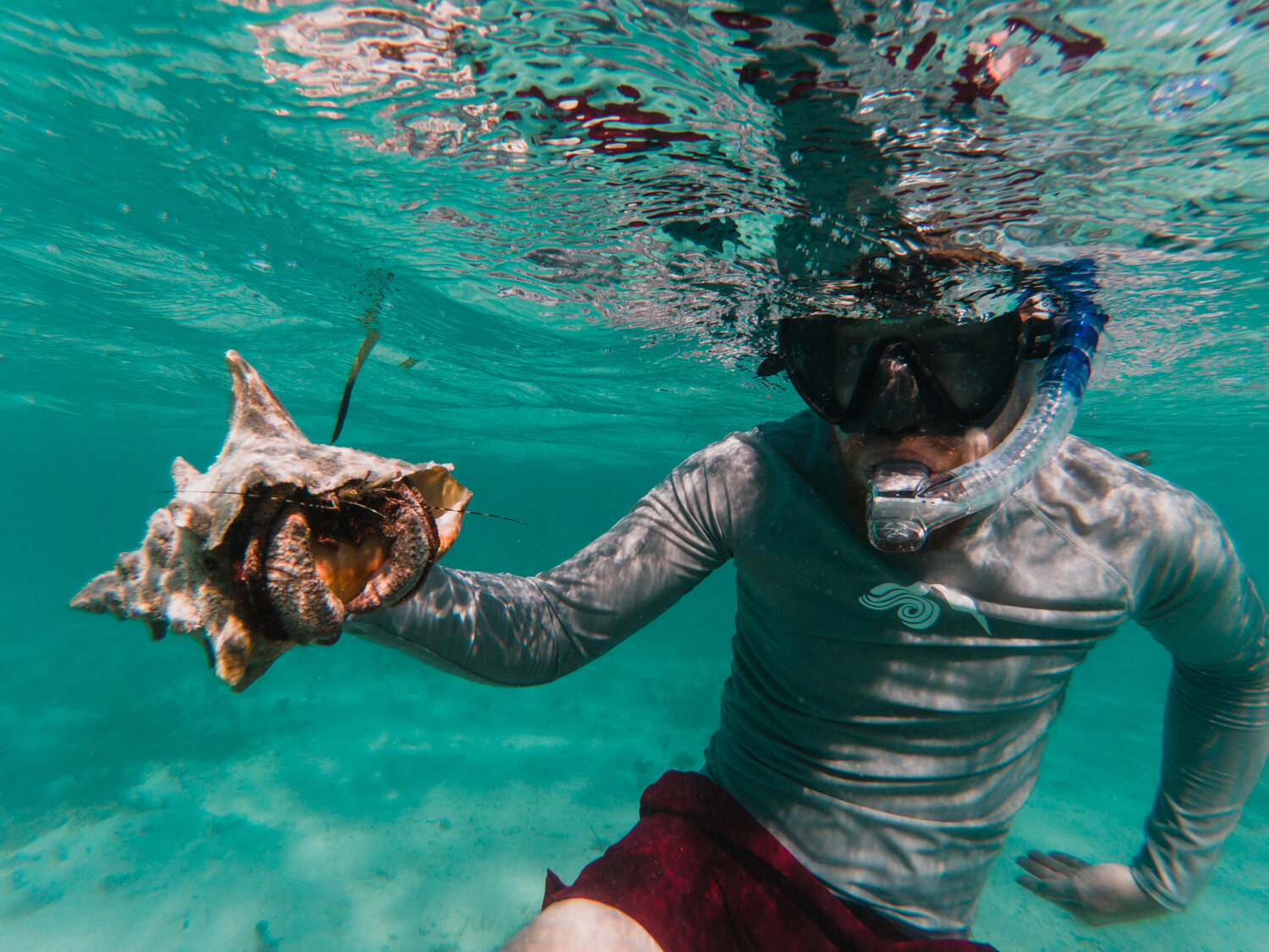 Snorkelling in Belize 013.jpg