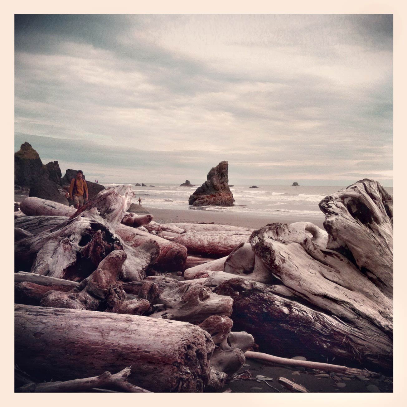 Olympic National Park, Washington