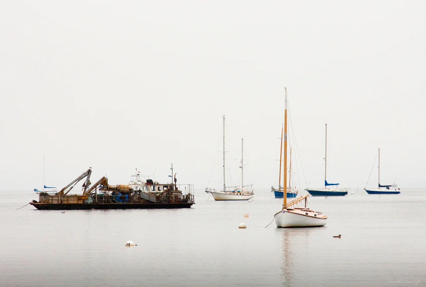 Fog over Harbor Shots10 Group Exhibition, Showcase School of Photography Of the 399 submissions, Fog over Harbor was one of 71 chosen chosen to be exhibited during Atlanta Photography Group's (APG) Photography Month. Atlanta, GA - October, 2010.