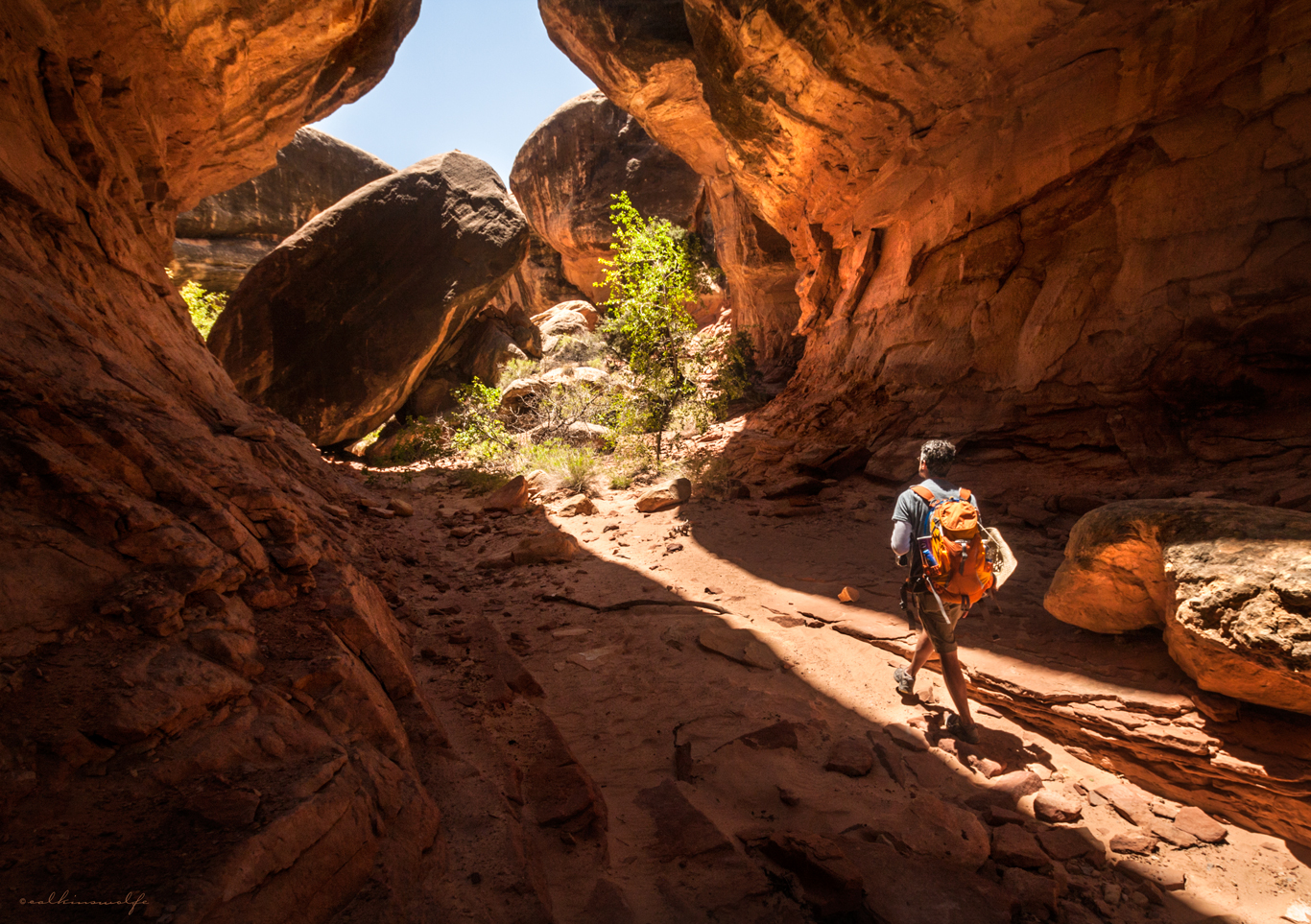 calkinswolfe_canyonlands_MG_8039-2.jpg