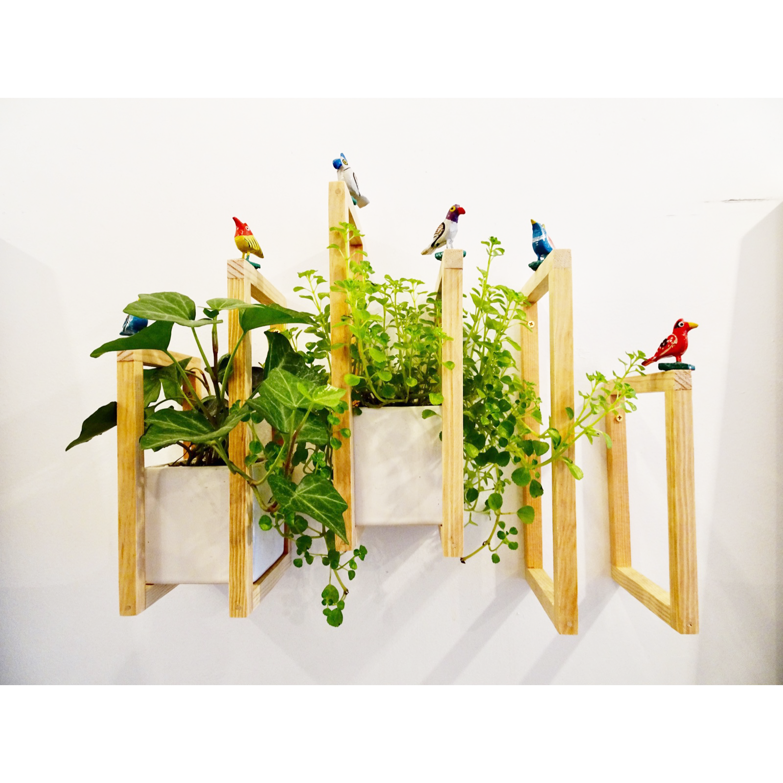 Wall Mounted Planter with Frames by Non Matsuura