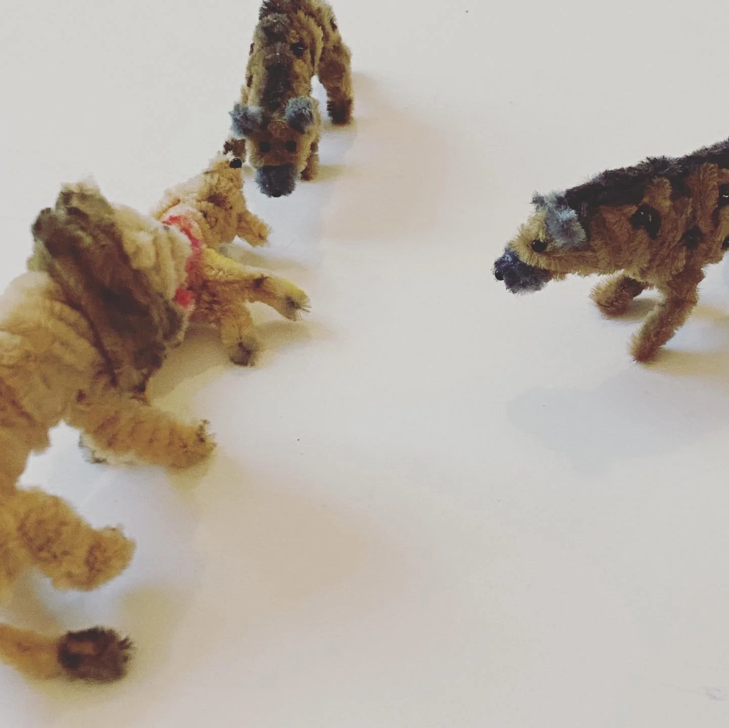 FB4C4A42-5DDE-4F22-B391-59024996E129 2.jpeg