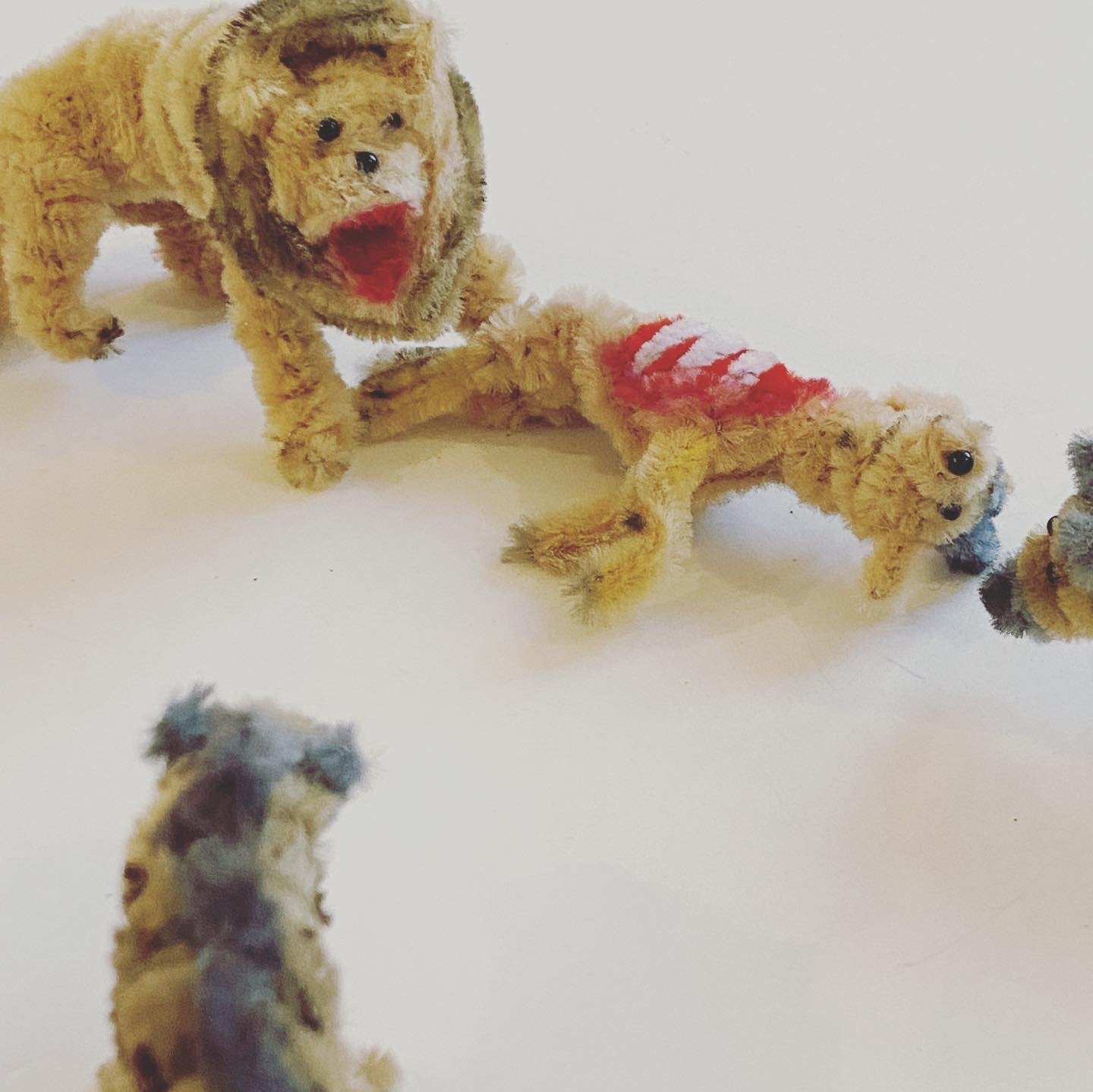 55B377E1-301A-455E-A22D-B1D2185C57E2 2.jpeg