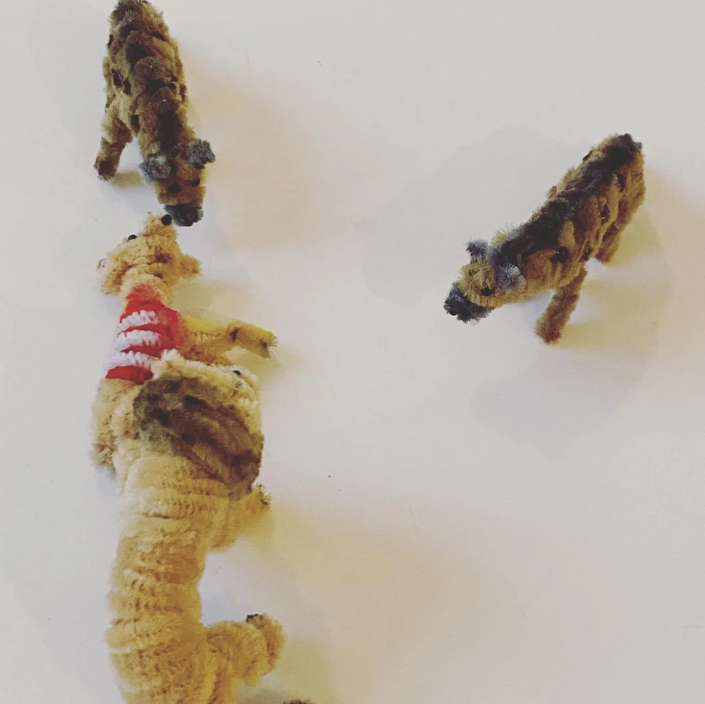 668EAD58-7E90-4432-AF15-464BC387C56E 2.jpeg