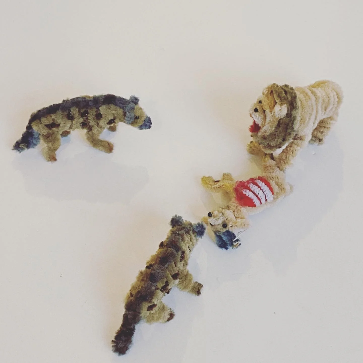 E2F12EC6-9C51-4140-B386-B697805FADAD 2.jpeg