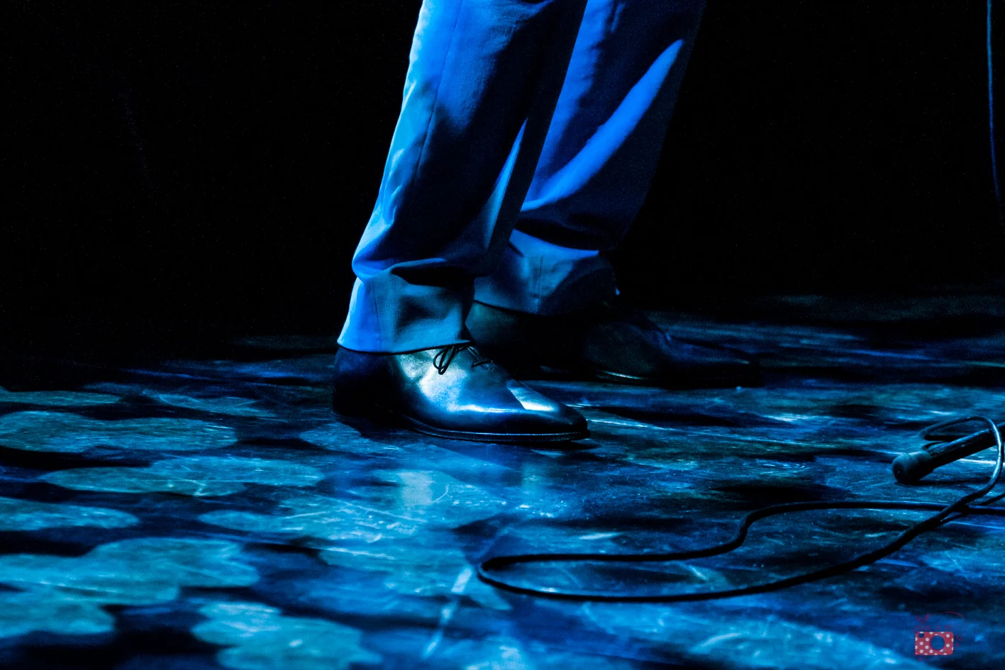 Bryan Ferry // Cirque Royal // Bruxelles