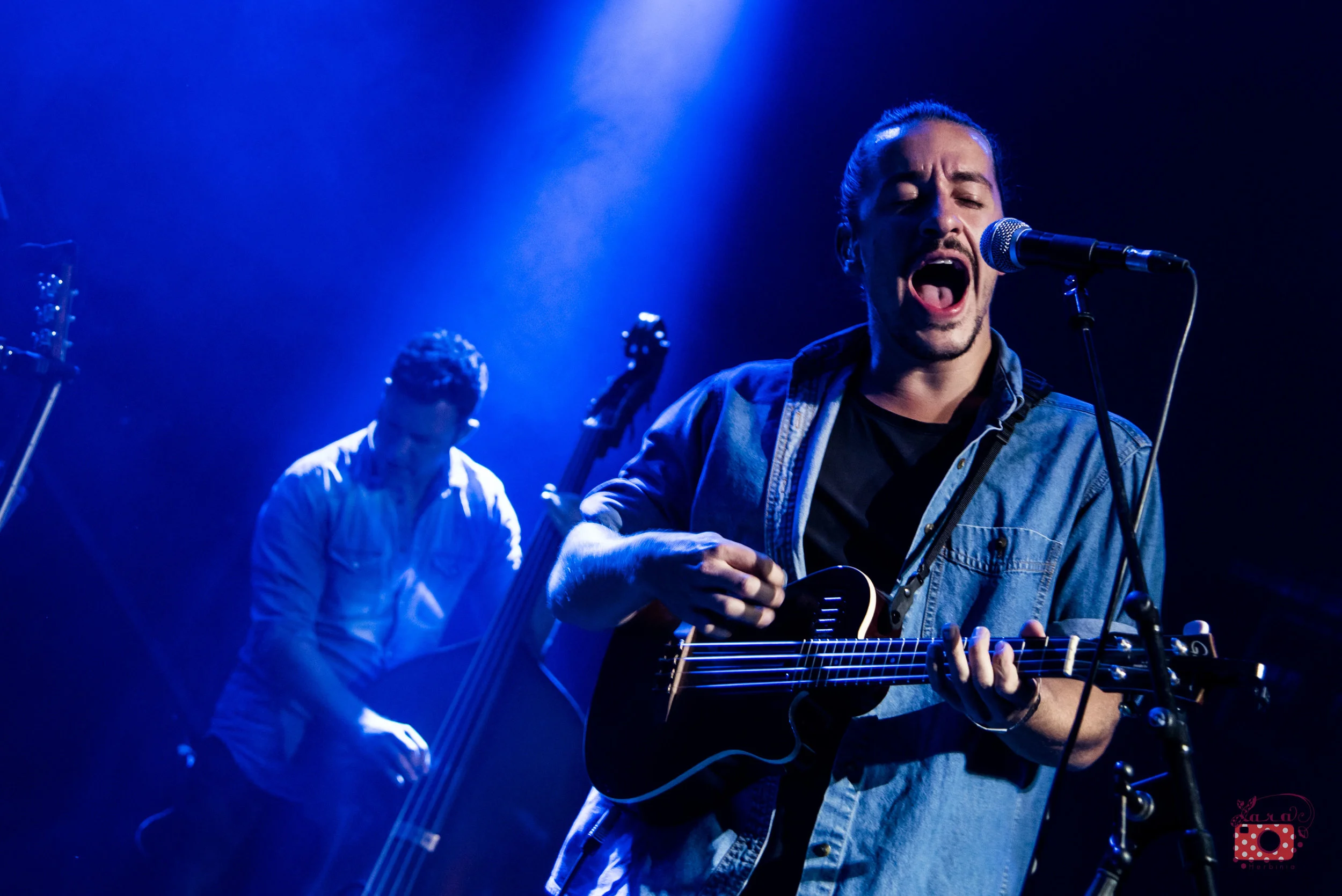 Bears of Legend//Brussels summer festival 2017