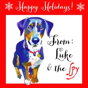 HappyHols_Luke.jpg