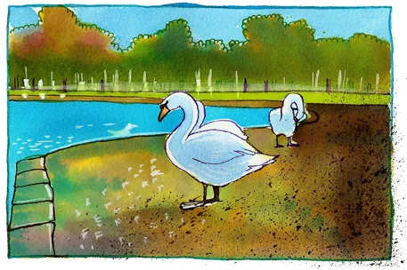 theroundpond copy copy.jpg