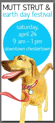 dogonleash copy.jpg