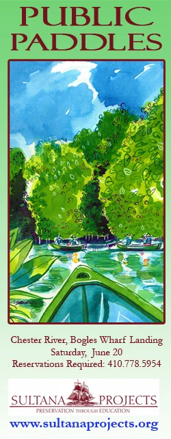 sultanapaddles_250x640 copy (2).jpg