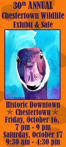 waterfowlshow copy (2).jpg