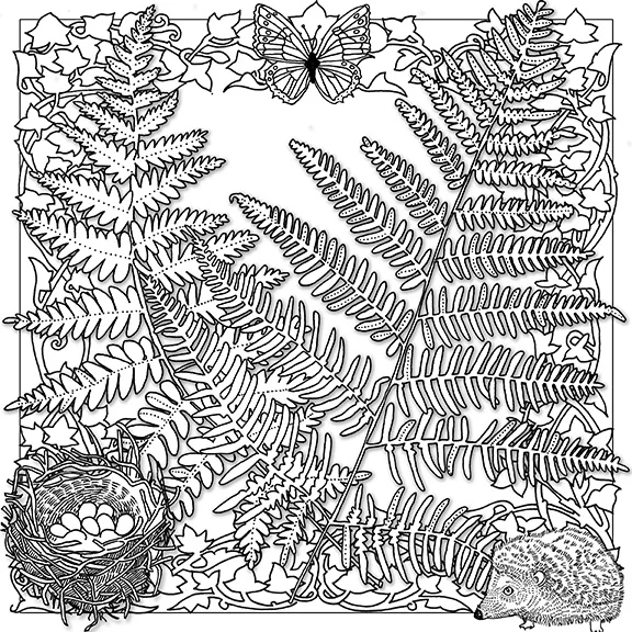ferns bordered web.jpg