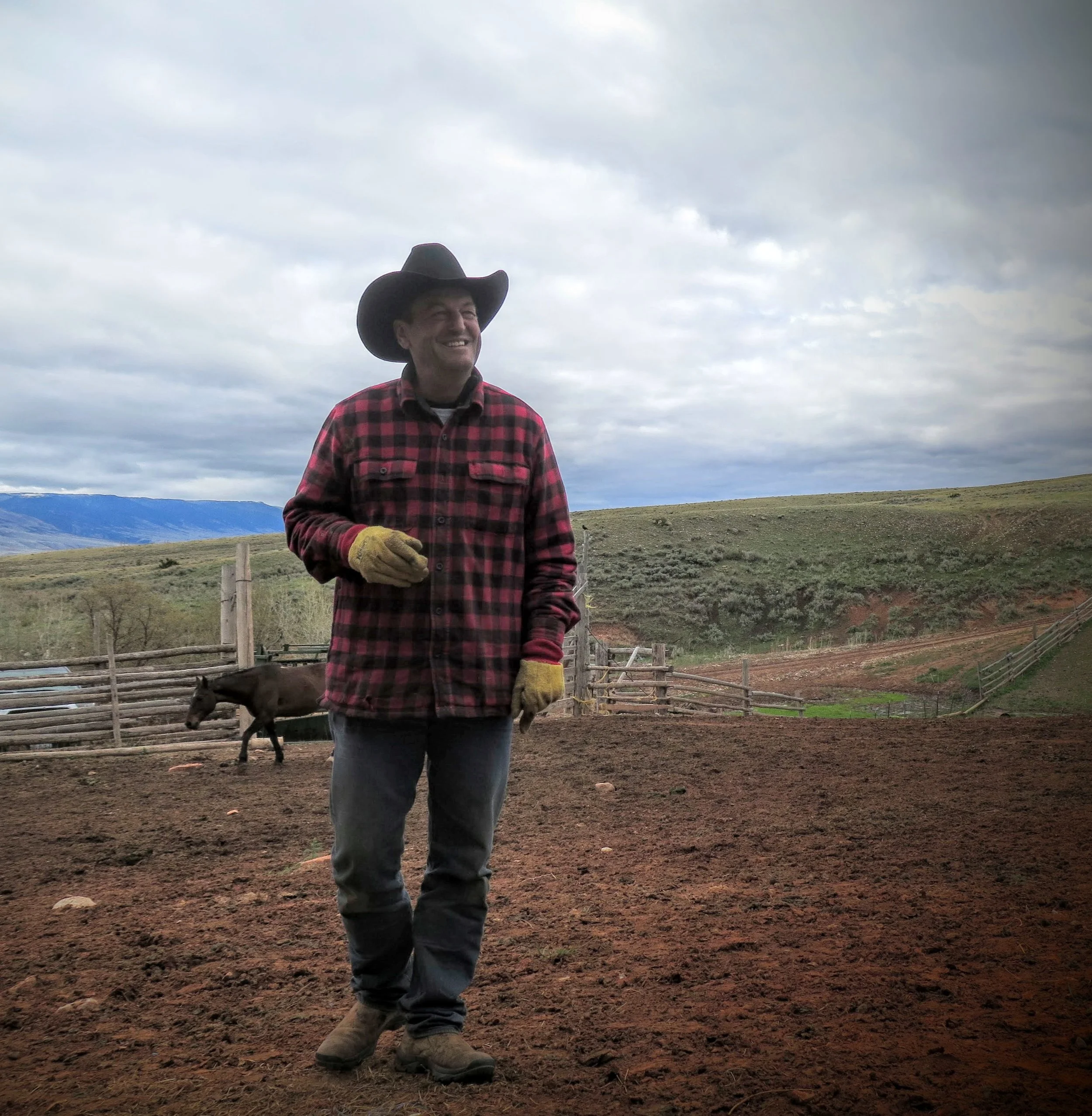 Hip, from the TX Ranch in Wyoming . 