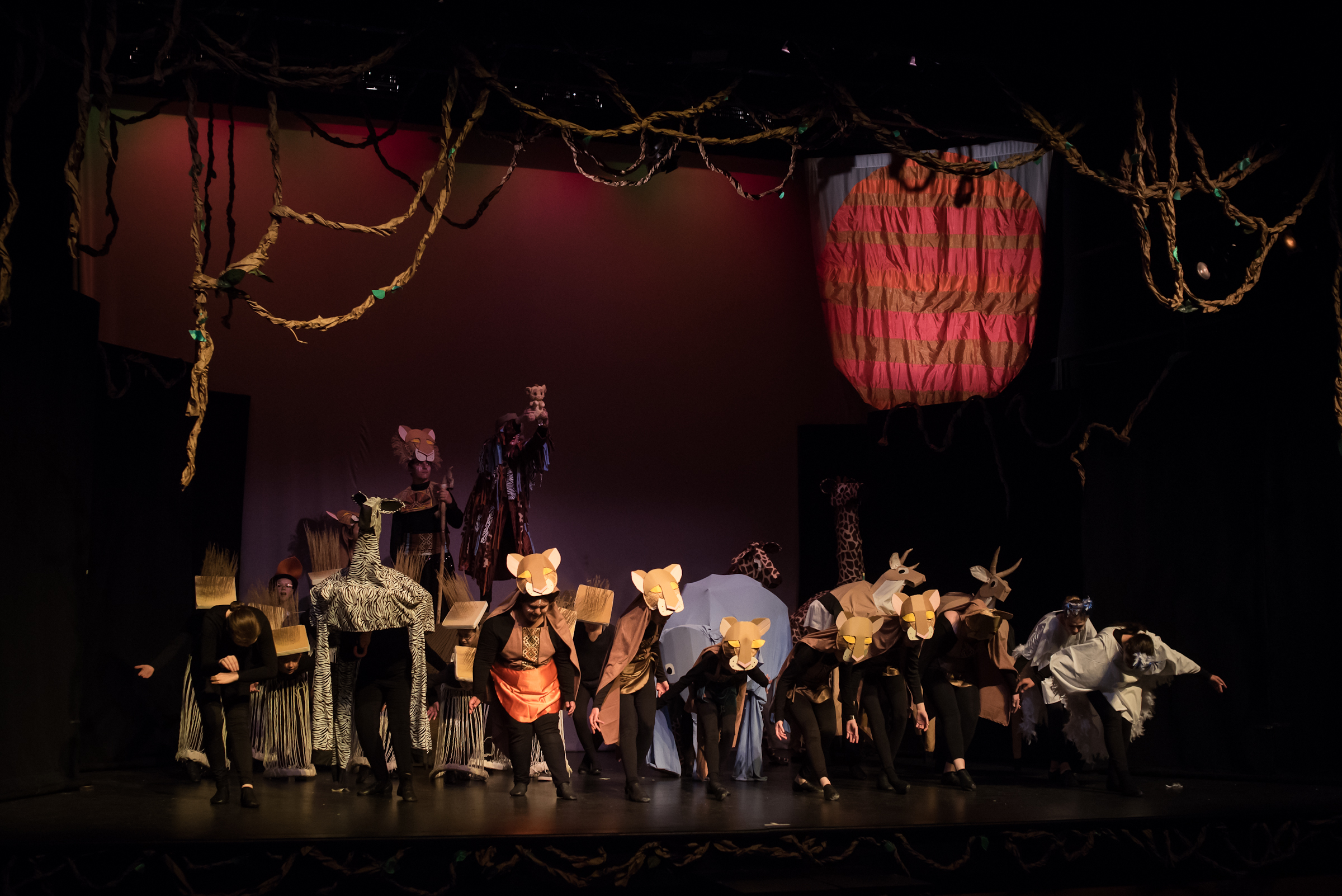 Lion King Jr-3.jpg