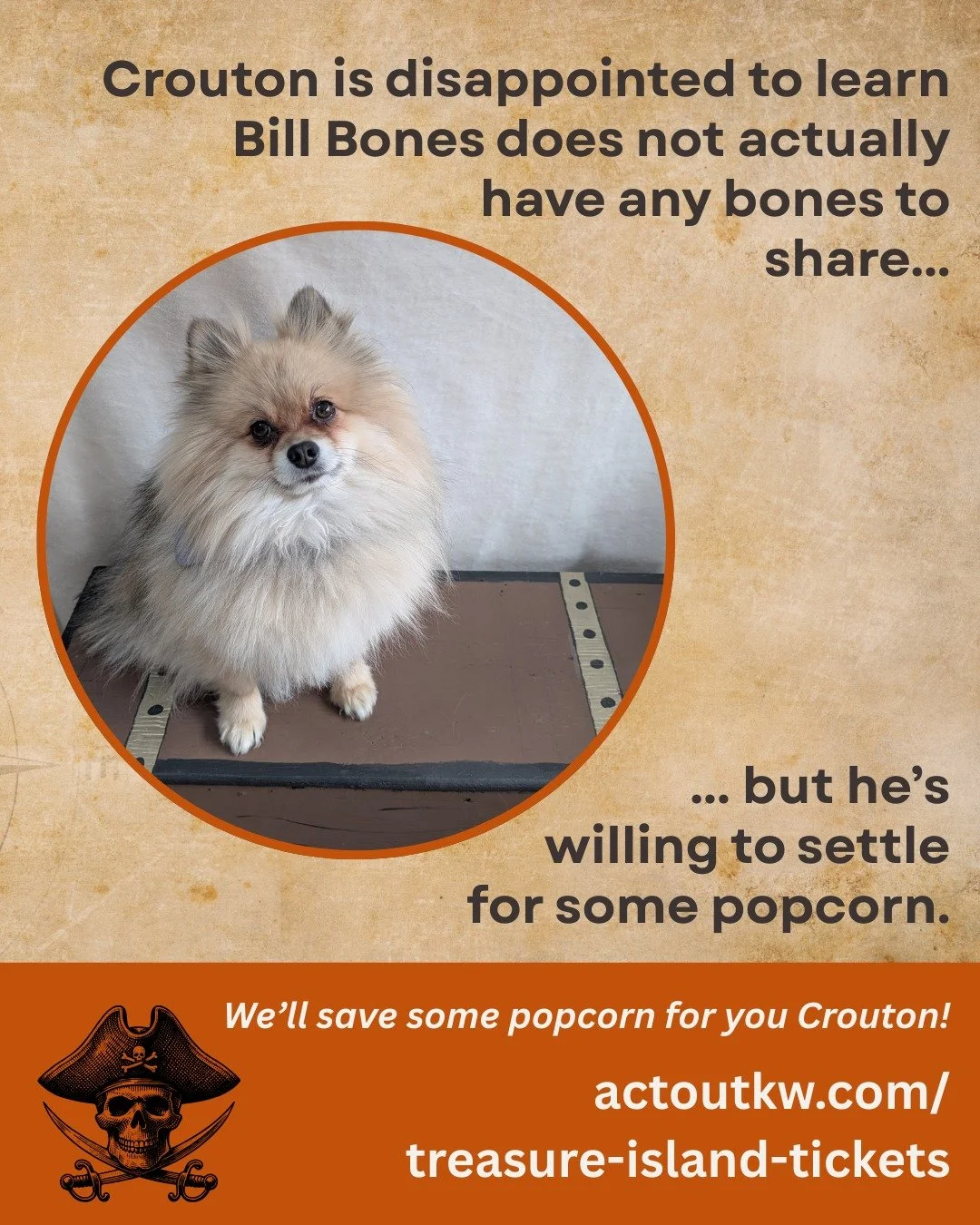 No pups allowed aboard the Hispaniola, or in the audience, but that's ok. Crouton can hear all about on-stage hijinks from his human in the play! And hopefully, they'll bring him home some popcorn too.

☠Treasure Island🌴
Feb 18th-21st
7pm every nigh