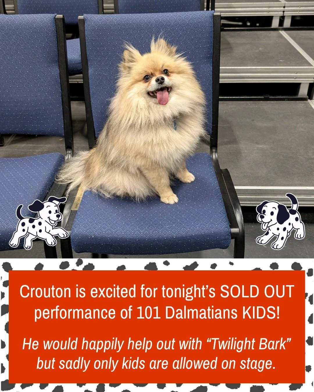 Crouton is excited for tonight's ✨SOLD OUT✨ performance of 101 Dalmatians KIDS!

He'd love to help out with "Twilight Bark", his favourite song. Unfortunately, only kids are allowed on stage. Oh well. 

Maybe he'll get a chance to be on sta