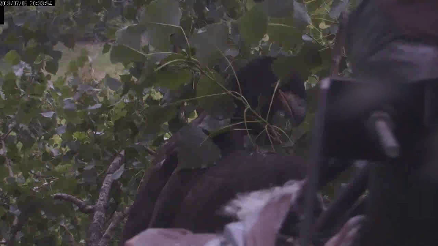 I wonder where this branch goes? There must be a camping spot around here somewhere!