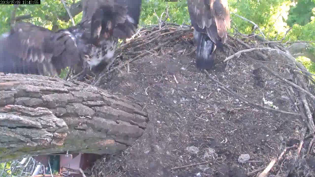 Gotta get Dad to fix these rails!!