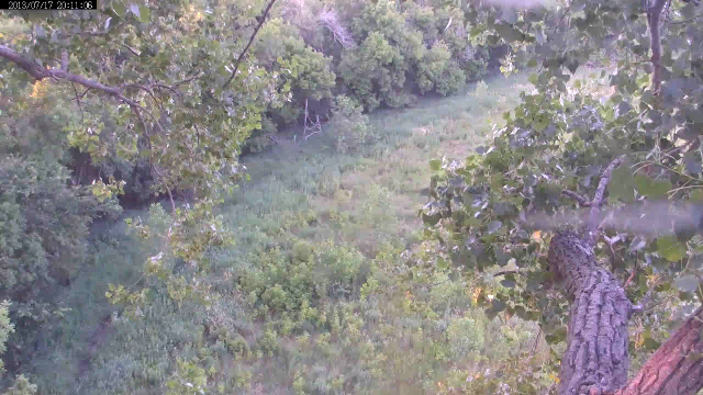 I wanna a treehouse with this view!