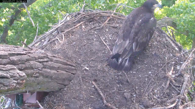 I promised Mom I would hang out here but I had my wingtips crossed! TeeHee!
