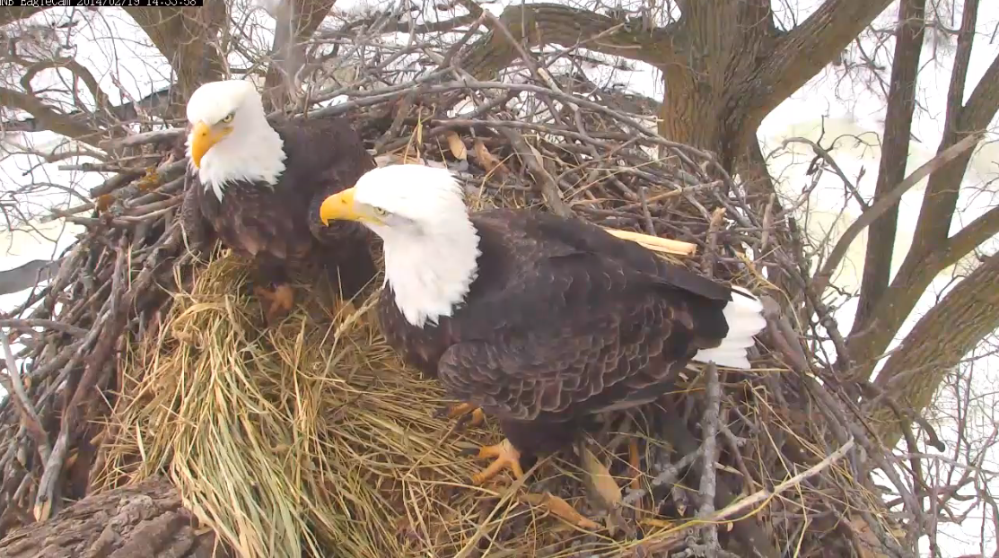 Do ya think they got the cam fixed yet??