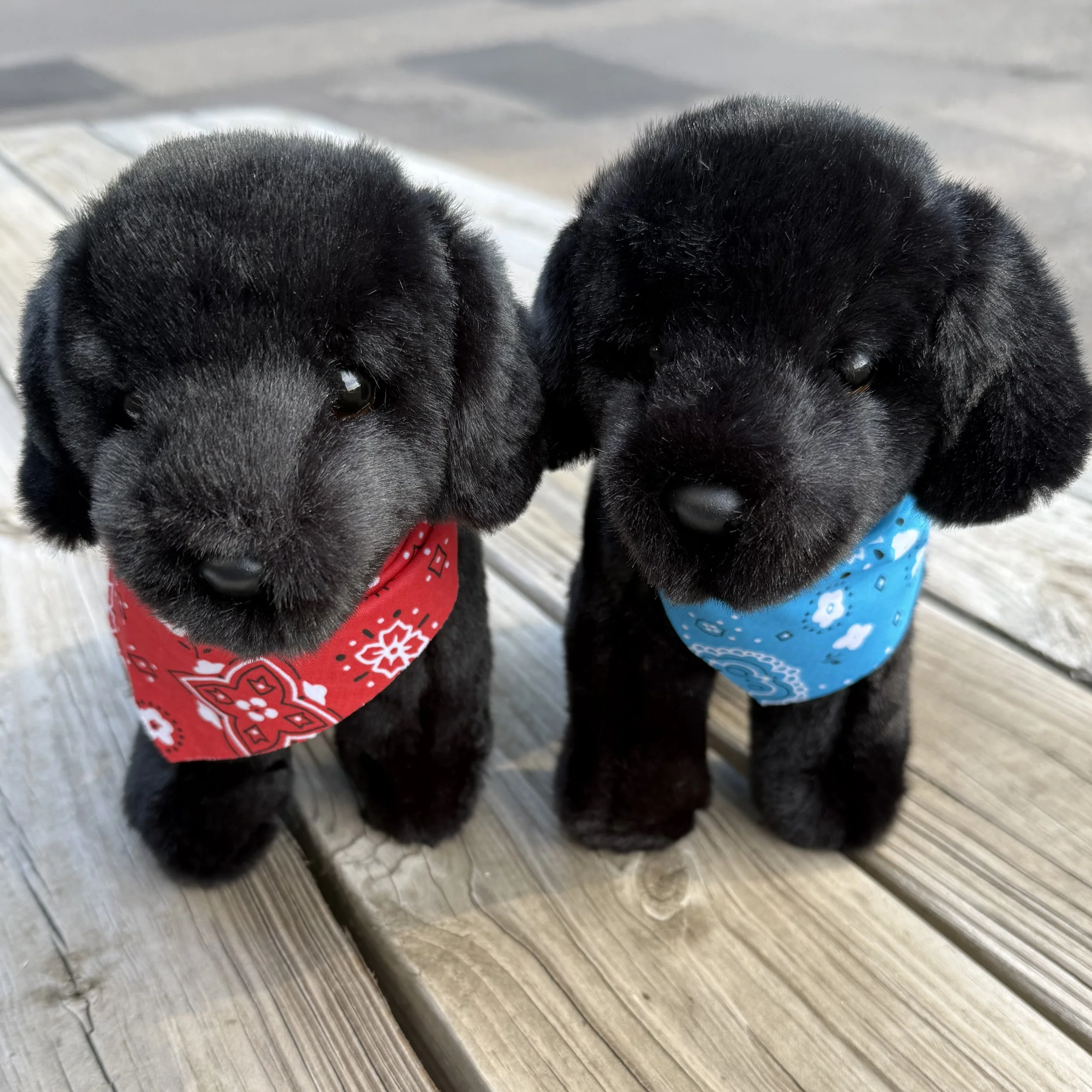 Plush Millie/Raven