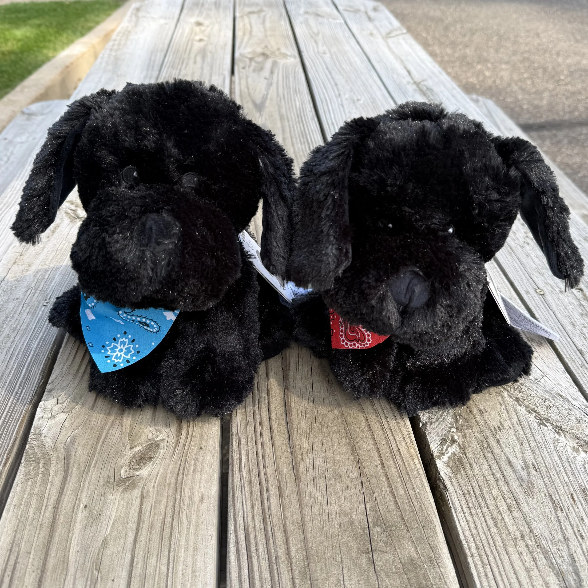 Weighted Plush Millie/Raven