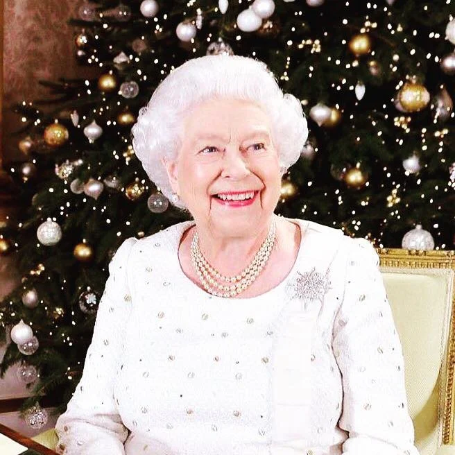 The dress Her Majesty chose to wear for her traditional Christmas address was NOT by Bedlam but we love that Kendall Jenner chose to wear (more or less, slightly more modest!) the same...