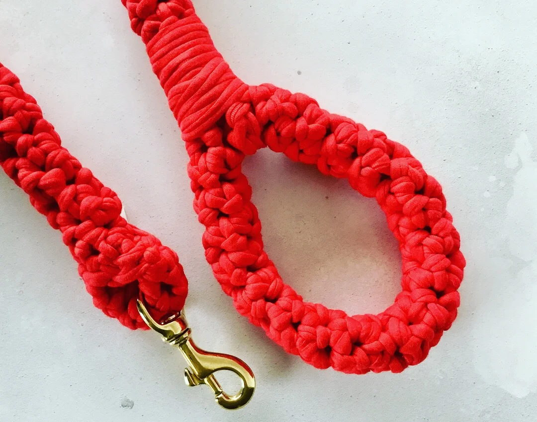 Stonking Fido red lead.jpg