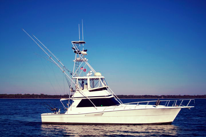 Panama City Beach Fishing Charters FL | Blue Water Connection